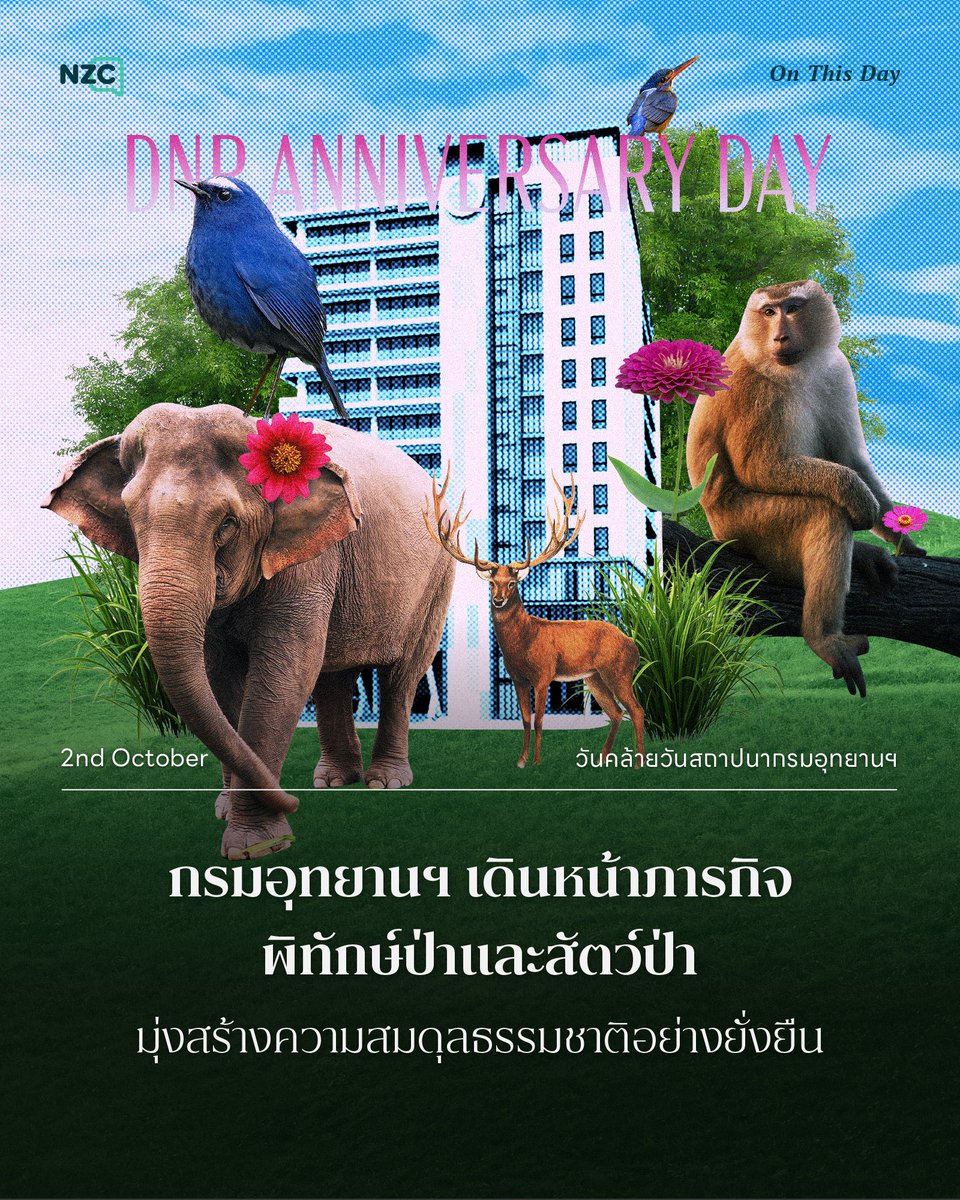 NetzerocarbonTh's tweet photo. จุดกำเนิดของ ‘กรมอุทยานแห่งชาติ สัตว์ป่า และพันธุ์พืช’ มีที่มาจากความมุ่งมั่นในการแบ่งแยกภารกิจด้านป่าไม้ให้ชัดเจนระหว่าง ‘ป่าเศรษฐกิจ’ กับ ‘งานด้านการอนุรักษ์และการคุ้มครอง’
.
โดยจัดตั้งขึ้นอย่างเป็นทางการตามพระราชกฤษฎีกาเมื่อวันที่ 2 ตุลาคม พ.ศ. 2445 ภายใต้สังกัด ‘กระทรวงทรัพยากรธรรมชาติและสิ่งแวดล้อม’ เพื่อให้การดูแลทรัพยากรธรรมชาติ ผืนป่า สัตว์ป่า และพันธุ์พืช เป็นไปอย่างมีประสิทธิภาพสูงสุด
.
ความสำคัญของหน่วยงานนี้คือการเป็นด่านหน้าในการปกป้อง คุ้มครอง และฟื้นฟูป่าอนุรักษ์ พร้อมรักษาสมดุลของระบบนิเวศและความหลากหลายทางชีวภาพ ซึ่งทำหน้าที่เป็นแหล่งต้นน้ำลำธาร ที่อยู่อาศัยของสัตว์ป่า และแหล่งอาหารที่สำคัญของประเทศ
.
ในการขับเคลื่อนงานปัจจุบัน กรมอุทยานฯ ได้มุ่งเน้นการบูรณาการทำงานร่วมกับทุกภาคส่วน พร้อมน้อมนำแนวพระราชดำริมาเป็นแนวทางปฏิบัติ ควบคู่กับการนำเทคโนโลยีสมัยใหม่มาประยุกต์ใช้เพื่อยกระดับการบริหารจัดการป่าไม้ให้ก้าวทันยุคดิจิทัล
.
นอกจากนี้ยังให้ความสำคัญกับการสร้างความเข้าใจและส่งเสริมให้ชุมชนท้องถิ่นมีส่วนร่วมในการหวงแหนและดูแลรักษาทรัพยากร เพื่อขับเคลื่อนวิสัยทัศน์ในการเพิ่มพื้นที่ป่าอนุรักษ์ให้บรรลุเป้าหมาย ควบคู่ไปกับการพัฒนาให้ผืนป่าเป็นทุนทางธรรมชาติที่เกื้อหนุนการใช้ประโยชน์อย่างยั่งยืนและสมดุลสำหรับทุกคนในระยะยาว

#OnThisDay #NZC #NetZeroCarbon #DNPAnniversaryDay #DepartmentofNationalParksWildlifeandPlantConservationAnniversaryDay #วันคล้ายวันสถาปนากรมอุทยานแห่งชาติสัตว์ป่าและพันธุ์พืช

ที่มา
- กระทรวงทรัพยากรธรรมชาติและสิ่งแวดล้อม
- อุทยานแห่งชาติน้ำตกเจ็ดสาวน้อย
- สำนักบริหารงานกลาง กรมอุทยานแห่งชาติ สัตว์ป่า และพันธุ์พืช