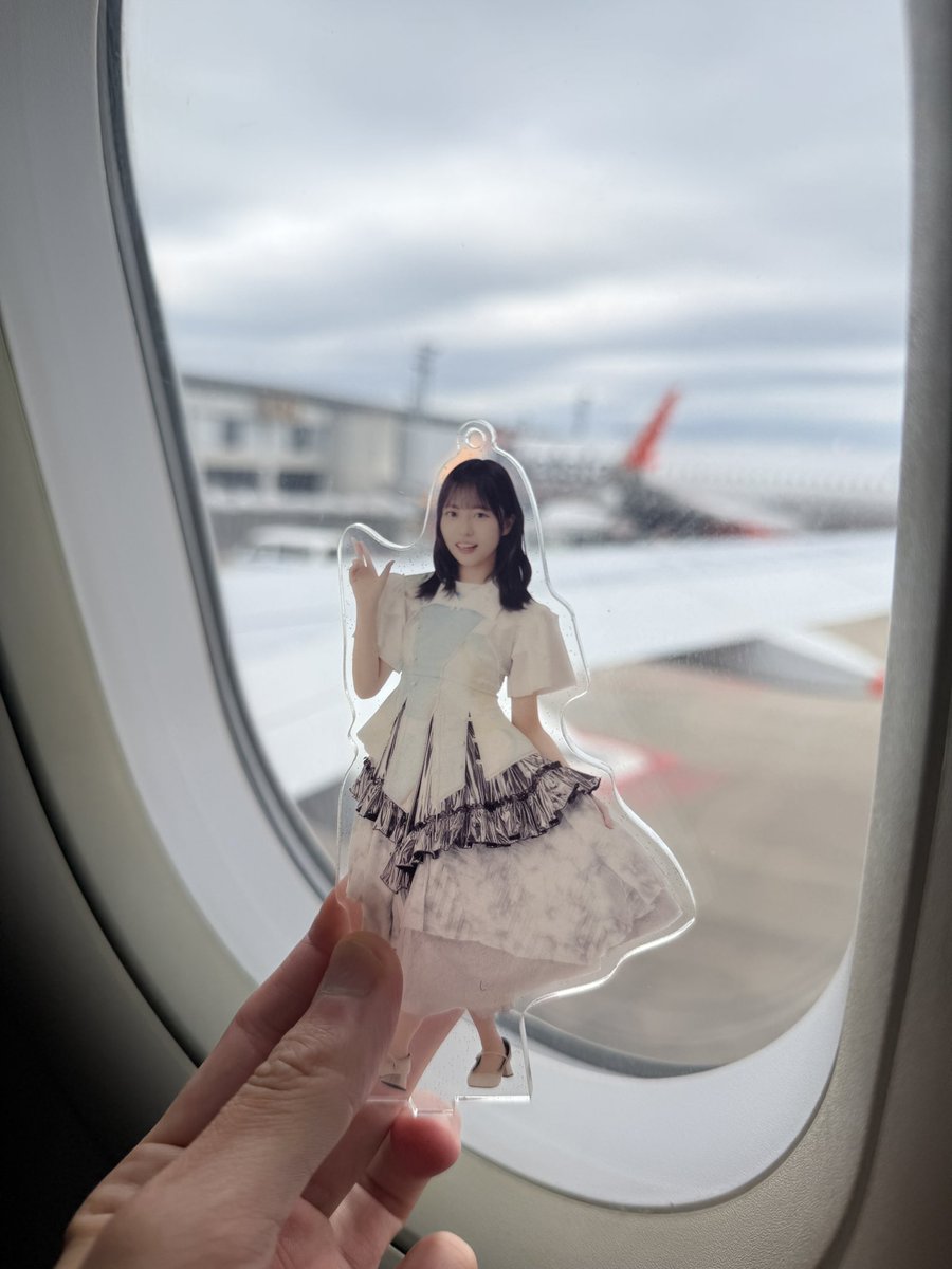 kotsu_231's tweet photo. 1ヶ月遅れでひなたフェスへ！ https://t.co/Wj0rCQO1gX