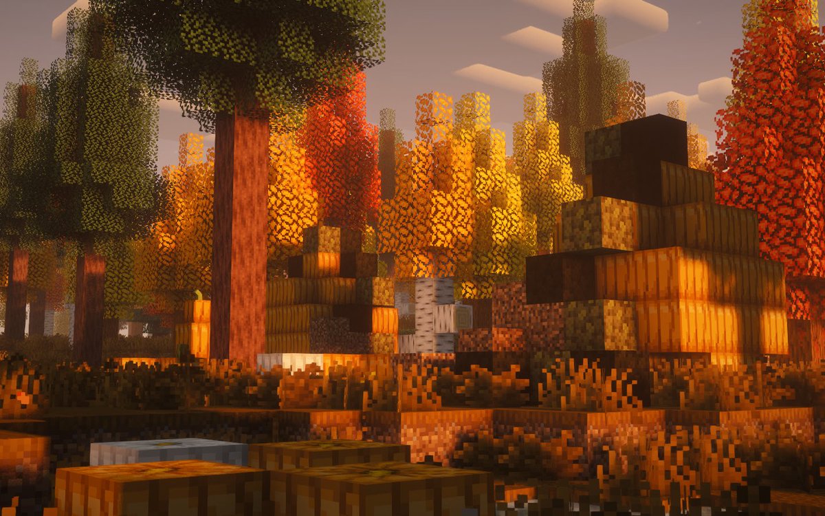 _STARSMP_'s tweet photo. 🍂 https://t.co/hVAoxF4T85