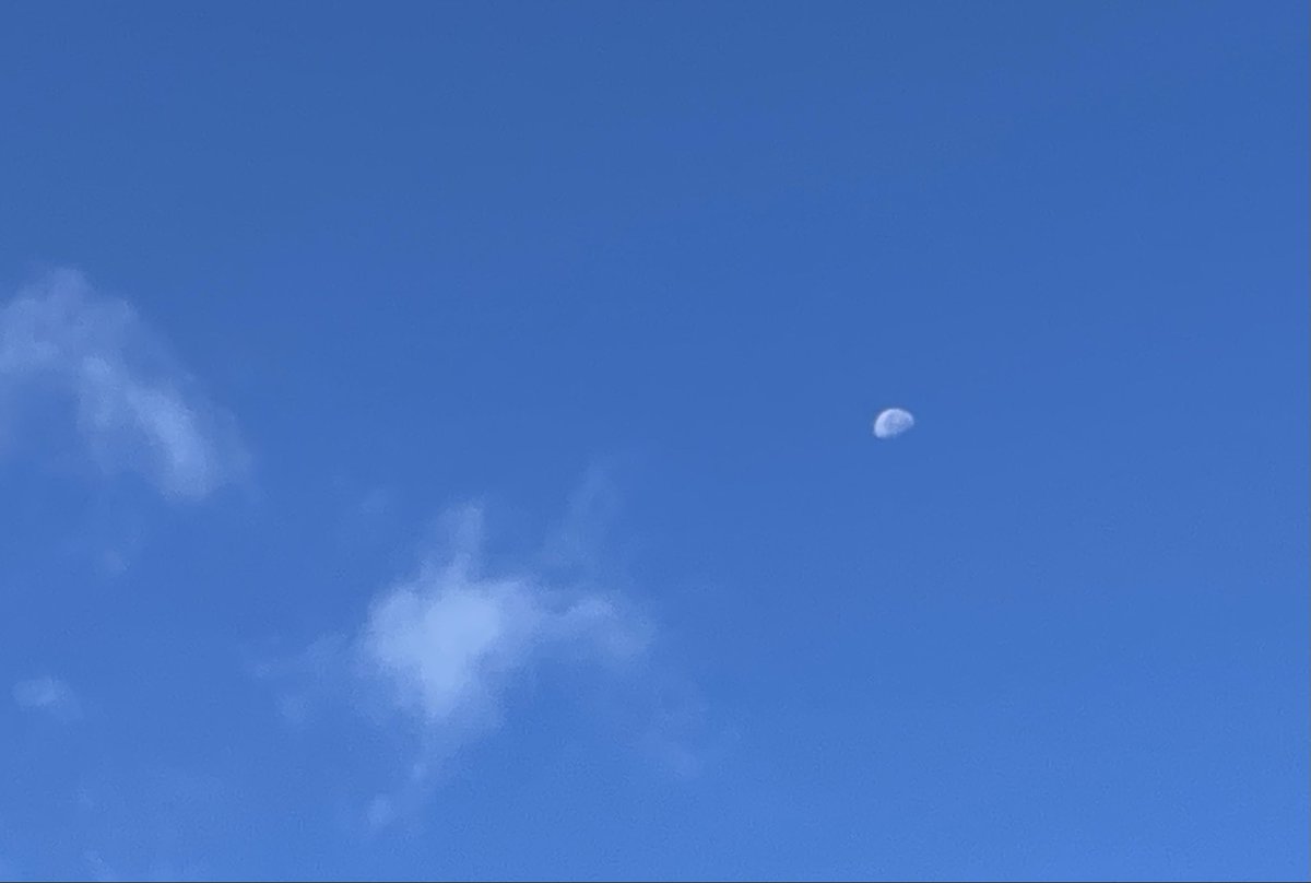 TooraMoo's tweet photo. こんにちは♪

月初は忙しくて、お昼になっちゃったけど。
今朝、洗濯物を干そうとベランダに出て、お空を見たら、お月様が見えたよ🙂

ずーっとお天気が悪くて、中秋の名月も９月の満月も見れなかったから、なんだか嬉しかった☺️

今年も残り３ヶ月切っちゃったけど、体調崩さないように気をつけよ😉 https://t.co/WUDeEpLRJV