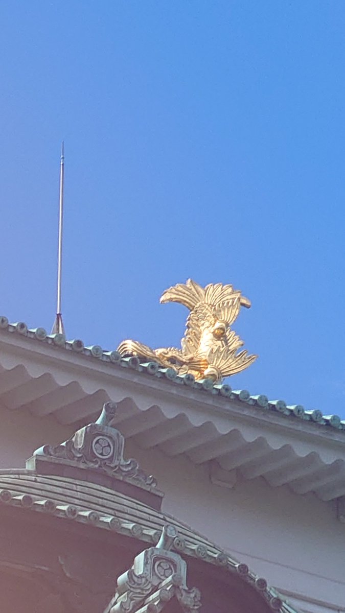 ranfan555's tweet photo. 名古屋城初めてきた https://t.co/h6E9OwO92v
