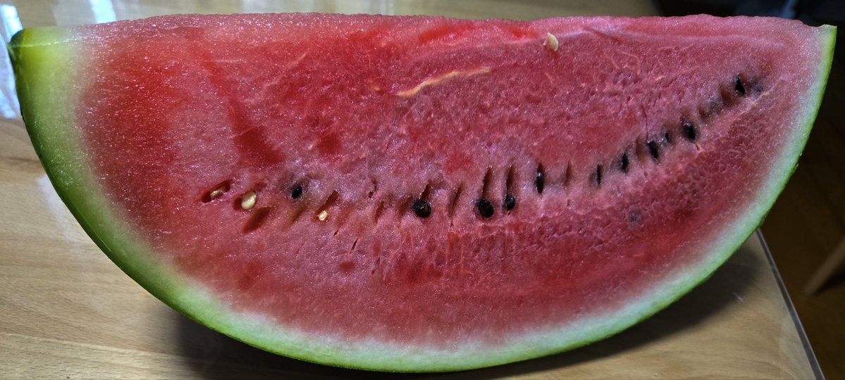 shima_watarou's tweet photo. 🍉松本ハイランドすいか🍉
スイカが甘くて美味しい！
糖度が、高くシャリッとした強い食感と締まった果肉が特徴のブランドスイカ。9月末、まだ店先に並んでいた
 #スイカ #島和太郎 #ランチ #花 #CM #タレント #サラリーマン #松本 #長野 https://t.co/9dkiI5VzjL