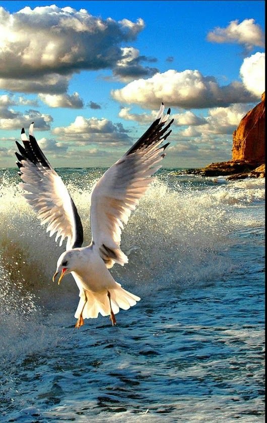 Harbydely8's tweet photo. ❇️ Günaydın arkadaşlar👭👬👫
❇️ Huzurlu sağlıklı günler dilerim 🌧🤗☕
#perşembe #hayatiyazıcı #FatmaBetülSayanKayaYargılansın #YasinKol #TFFİstifa #KademeŞart #EmekliHesapSoracak #EmekliBitik https://t.co/IslU57jDEF