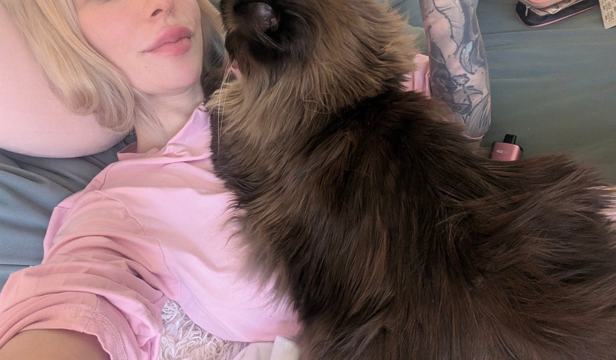 katymoonfox's tweet photo. Her size is my entire torso. But I love her cuddles 😭 https://t.co/hmfHa0FlU2