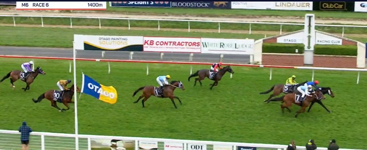 blusouthsky05's tweet photo. 晴れ間も見えています☀️
#WINGATUI
#ニュージーランド競馬🏇 https://t.co/TlRLGa40zp