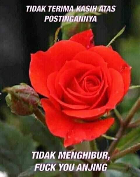 jiaaziva's tweet photo. https://t.co/PTFO88GpUQ