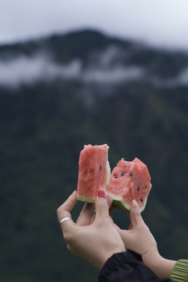 its_missy36's tweet photo. Today I hiked a remote ridge, chased game tracks, picked fresh ziziphus (a type of prickly fruit), took a slow ride, and got a warm note from a friend along the way—such a perfect short escapade! https://t.co/hC4nx7kLcO