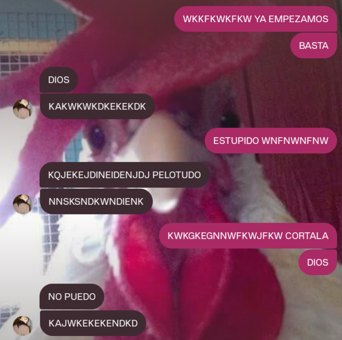 Mikhatse's tweet photo. ㅤㅤㅤㅤㅤㅤㅤ;; Mi situación más normal 
ㅤㅤㅤㅤㅤcada que hablo con este pelotudo. https://t.co/v84hL02kz7