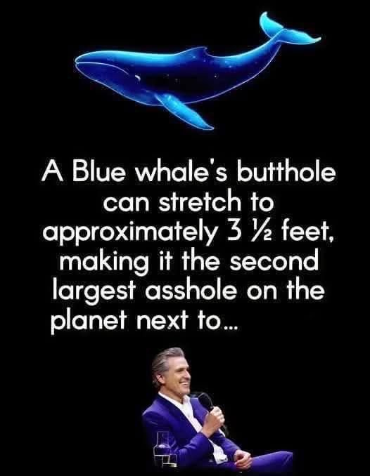 brian10500837's tweet photo. @storm1news https://t.co/J8todoJ5yP