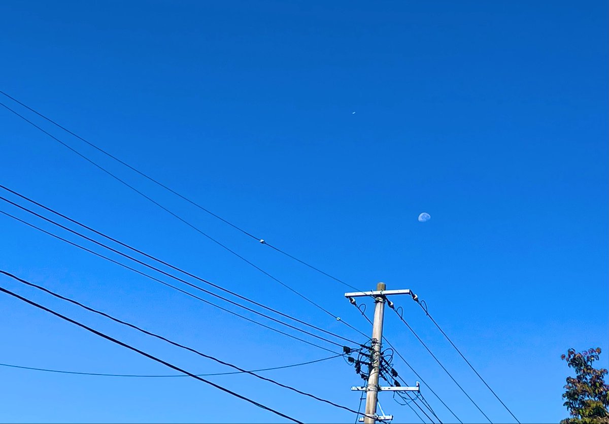 nikoniconikon's tweet photo. あれもしなきゃ、これもしなきゃと思っているうちに10月になってしまった。
10月は何かとイベント事が多いので、慌ただしさに流されてあっという間に1ヶ月が終わってしまわないように、できるだけ毎日を大事にしたいな。

午後もご無事でね💐

📷朝に取り残された月(と飛行機) https://t.co/lXnQtRbhOB