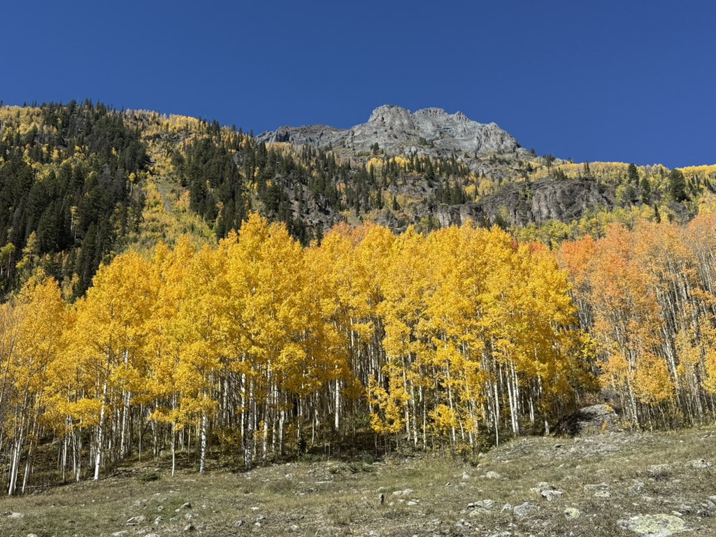 SirlinJohn's tweet photo. A few more scenes from the Million Dollar Highway today. https://t.co/8O0EtT5jlV
