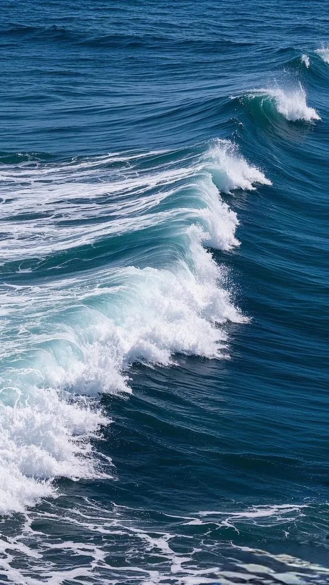 Asrawijaya1's tweet photo. The rough waves surged, the fish flipped in the tank, and the sun suddenly shone over—what a vivid, natural moment!， https://t.co/HY9TI4XMG9