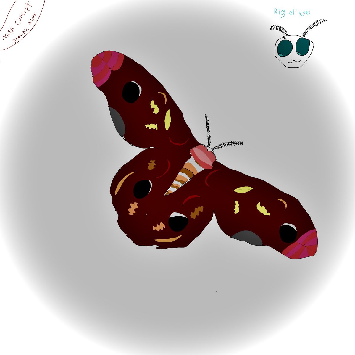 2_Alex_007's tweet photo. Quick moth concept drawing + sketch so you can make your own moth https://t.co/qyycAX3jWI