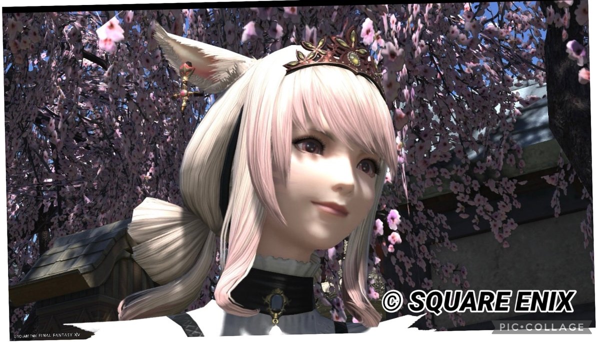 ff14_lliy's tweet photo. この度友達欲しさにX始めました！
X超初心者🔰
FF14も初心者寄りです！！
エレDC床ペロぼっち勢です😇
よければ仲良くしてください〜！
#FF14 #おはミコ #ミコッテ https://t.co/xk6aO4zJeV