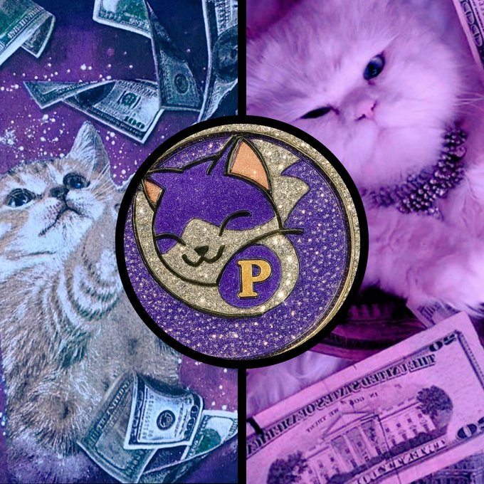 G671369666's tweet photo. And then the purple cat exploded
Proton Pussy ⚛️🐈 https://t.co/JBswvu1nTs