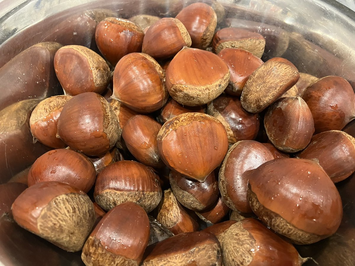 tomomi_trb's tweet photo. 🌰🌰🌰
剥くの大変だった🤣最後の一個で指負傷、、渋皮剥くのがめんどくさくなって、渋川煮にしたけど、それすらもめんどくさかった、、でも美味しい！！！ https://t.co/7uVSoNRZpC
