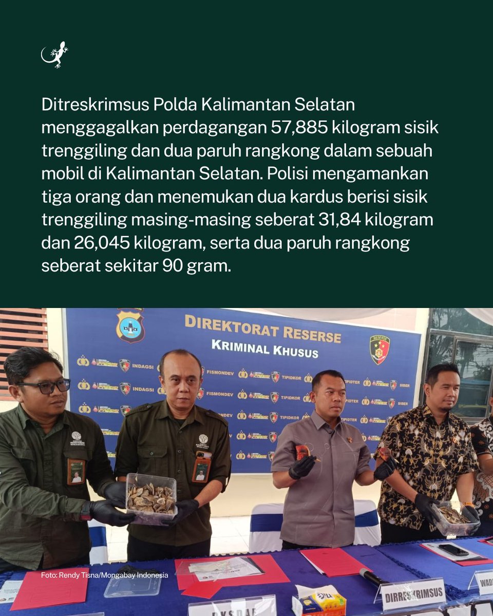 MongabayID's tweet photo. Ditreskrimsus Polda Kalimantan Selatan menggagalkan perdagangan 57,885 kilogram sisik trenggiling dan dua paruh rangkong dalam sebuah mobil di Kalimantan Selatan. https://t.co/qza4EIelpU