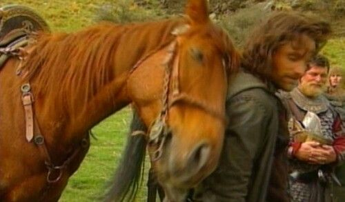 butchspock's tweet photo. big fan of this picture https://t.co/C8xigtyMXx