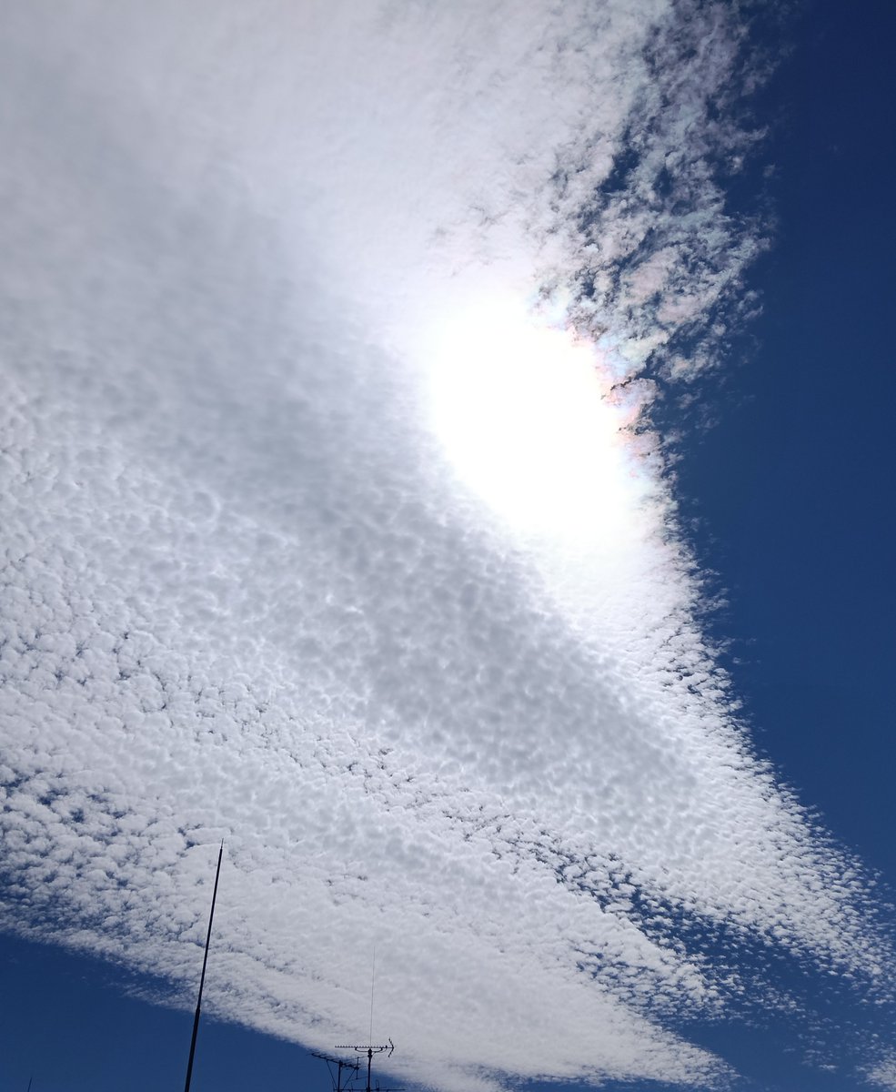 kirishimaai's tweet photo. 今日の雲は翼にみえる。

空に残した　君の白い翼
まぶしすぎて　まだ追いかけてる https://t.co/3wbBvvQNpm
