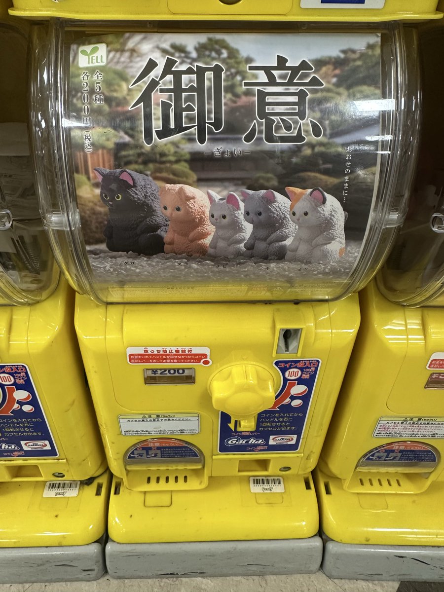 Pi_Chiyan_2's tweet photo. 御意 https://t.co/ALeXn4FFvM