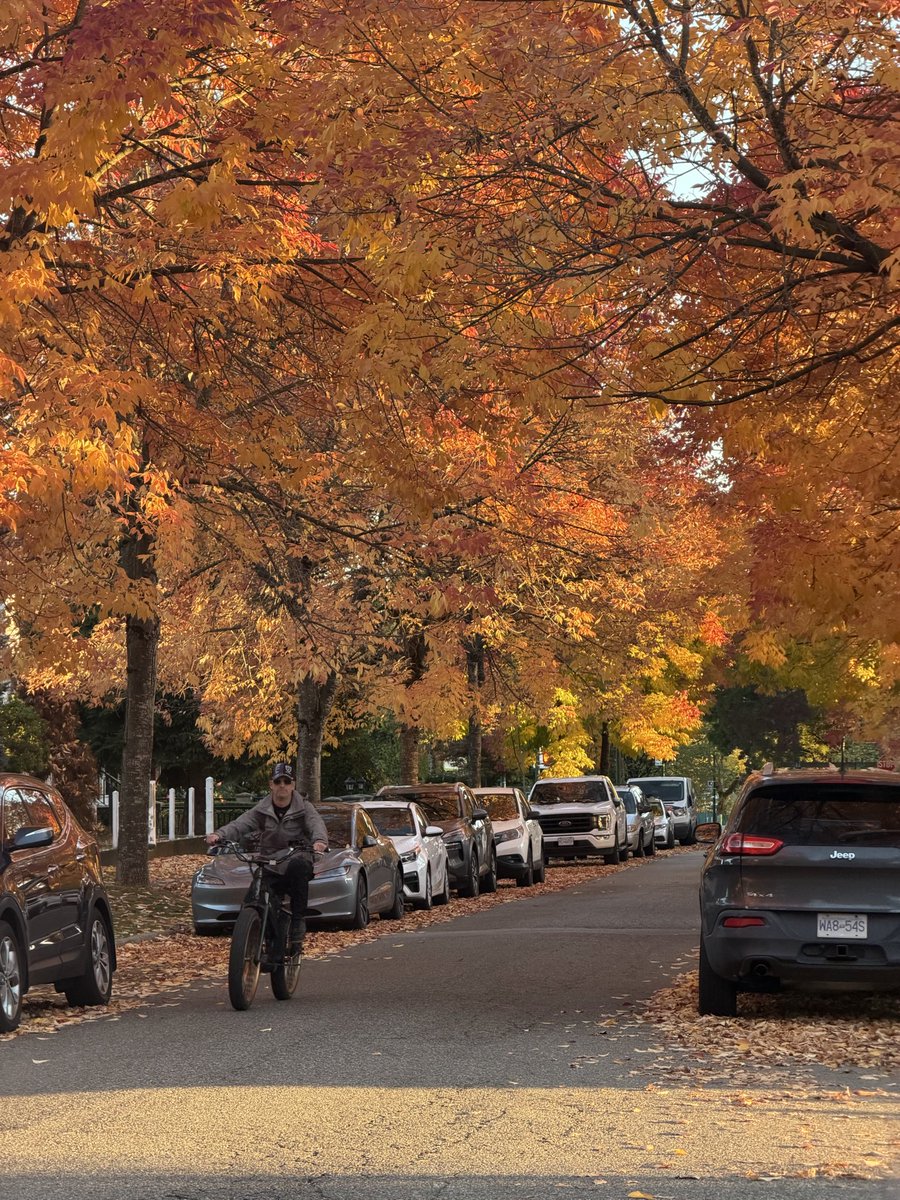 digitalfields's tweet photo. Man I Love Fall https://t.co/EY2ViDPdWm