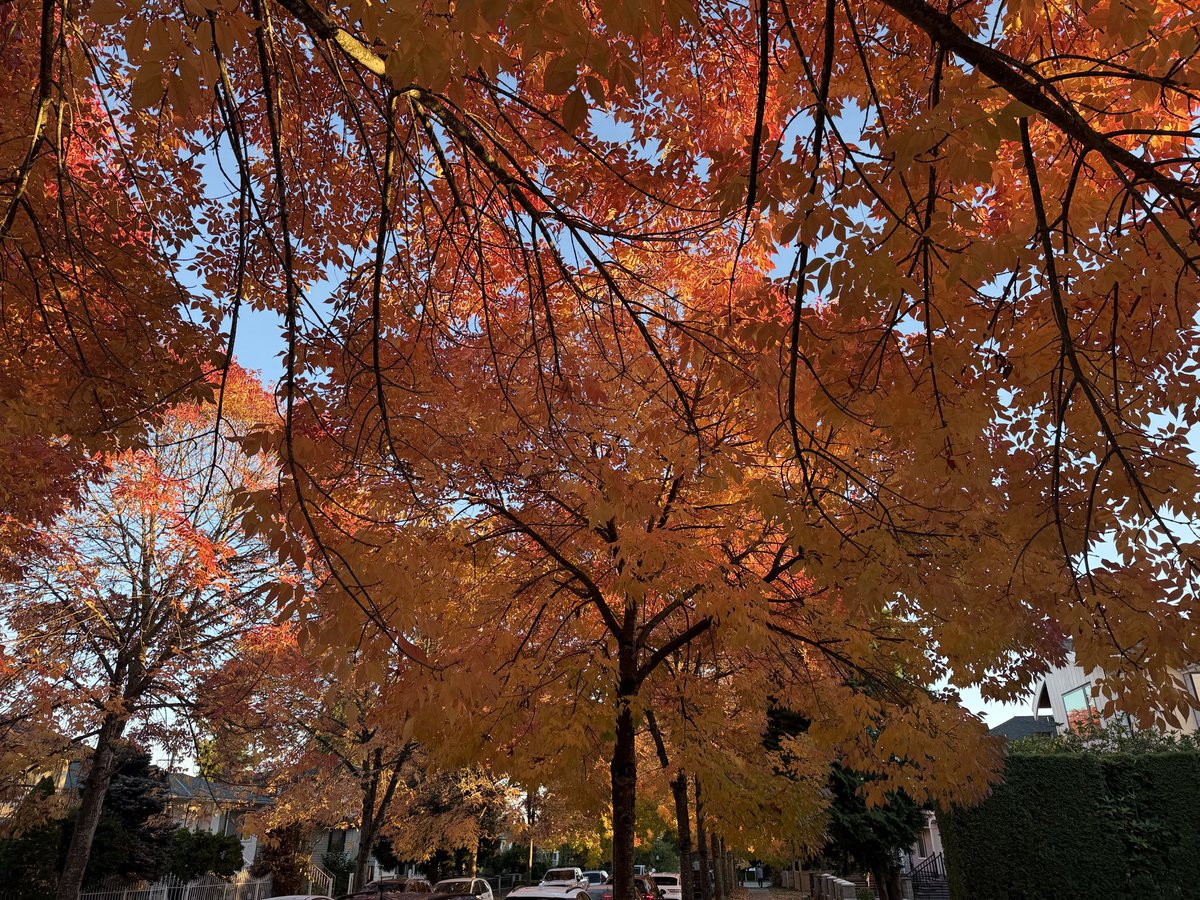 digitalfields's tweet photo. Man I Love Fall https://t.co/EY2ViDPdWm