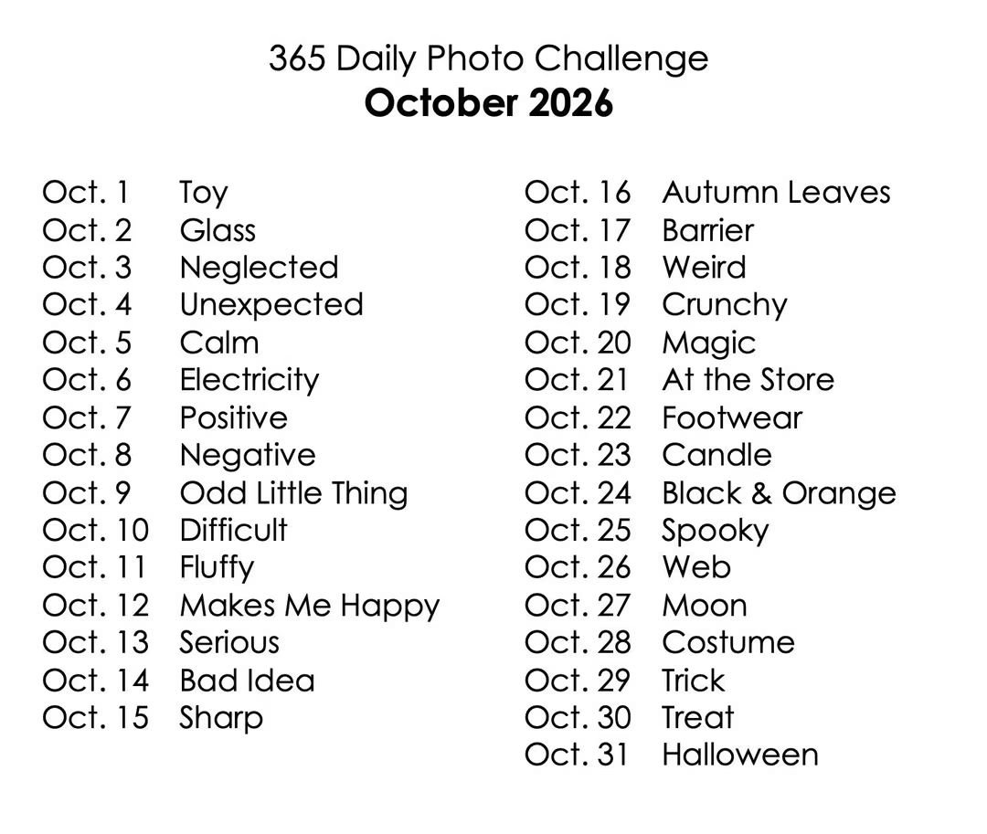 joni_kennedy's tweet photo. #OctoberPhotoChallenge #PhotoOfTheDay #photochallenge #octoberchallenge #autumn #fall #October2026 #happylife #photoadaychallenge2026 #OctoberpumpkinsbringNovemberturkeys @expertphotography https://t.co/W8hgzM61af