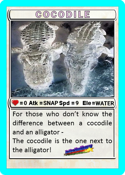 common_coco's tweet photo. GM
Common Coco 
Series 2, Card 22 - COCODILES 
by @subterranean_1 https://t.co/UOtlewM3Ph