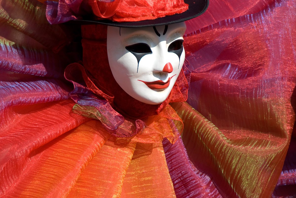 k_lindse_17_643's tweet photo. This little brown clown has a round mask, plays a funny prank, and fills the air with a playful, warm vibe. https://t.co/huINIM7y3q