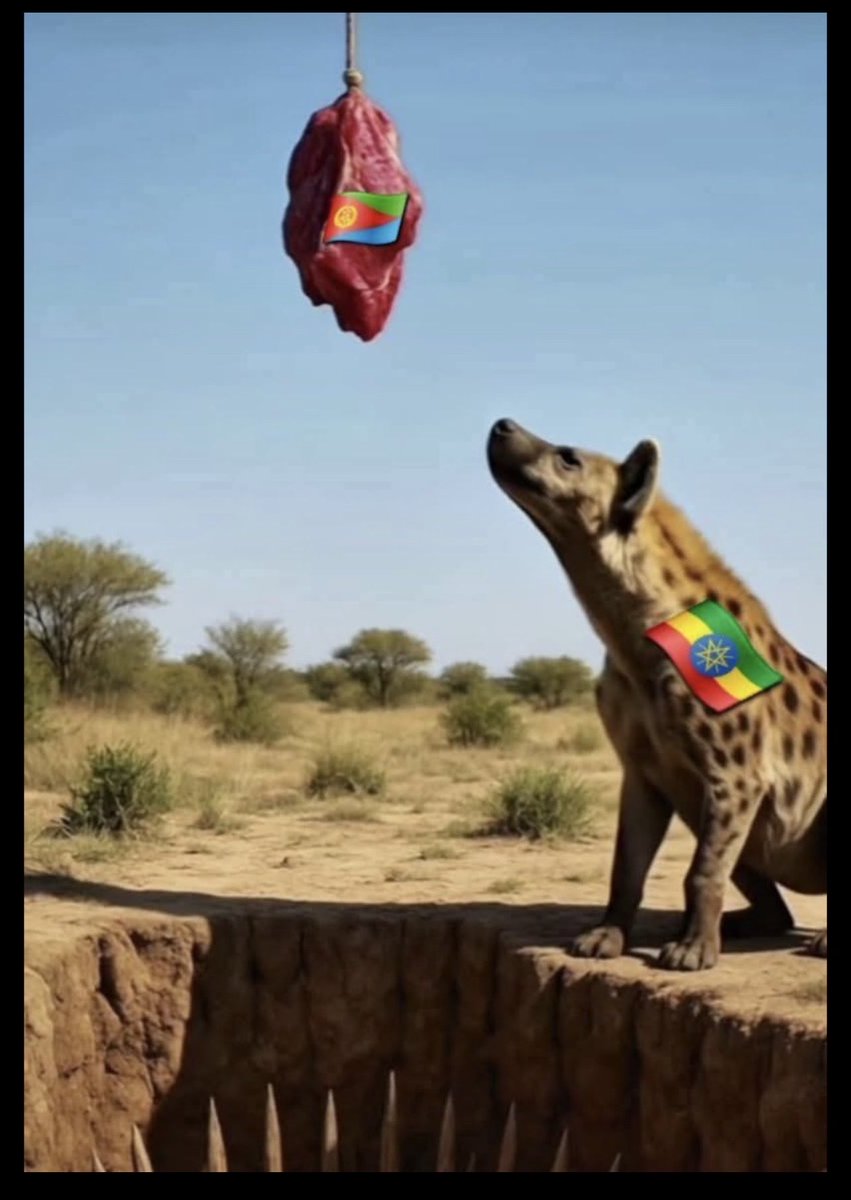 HebentiEri291's tweet photo. አያ ጅቦ ስጋውን አይተህ ገደሉን ሳታይ 🤔 https://t.co/LLmvWFI6My