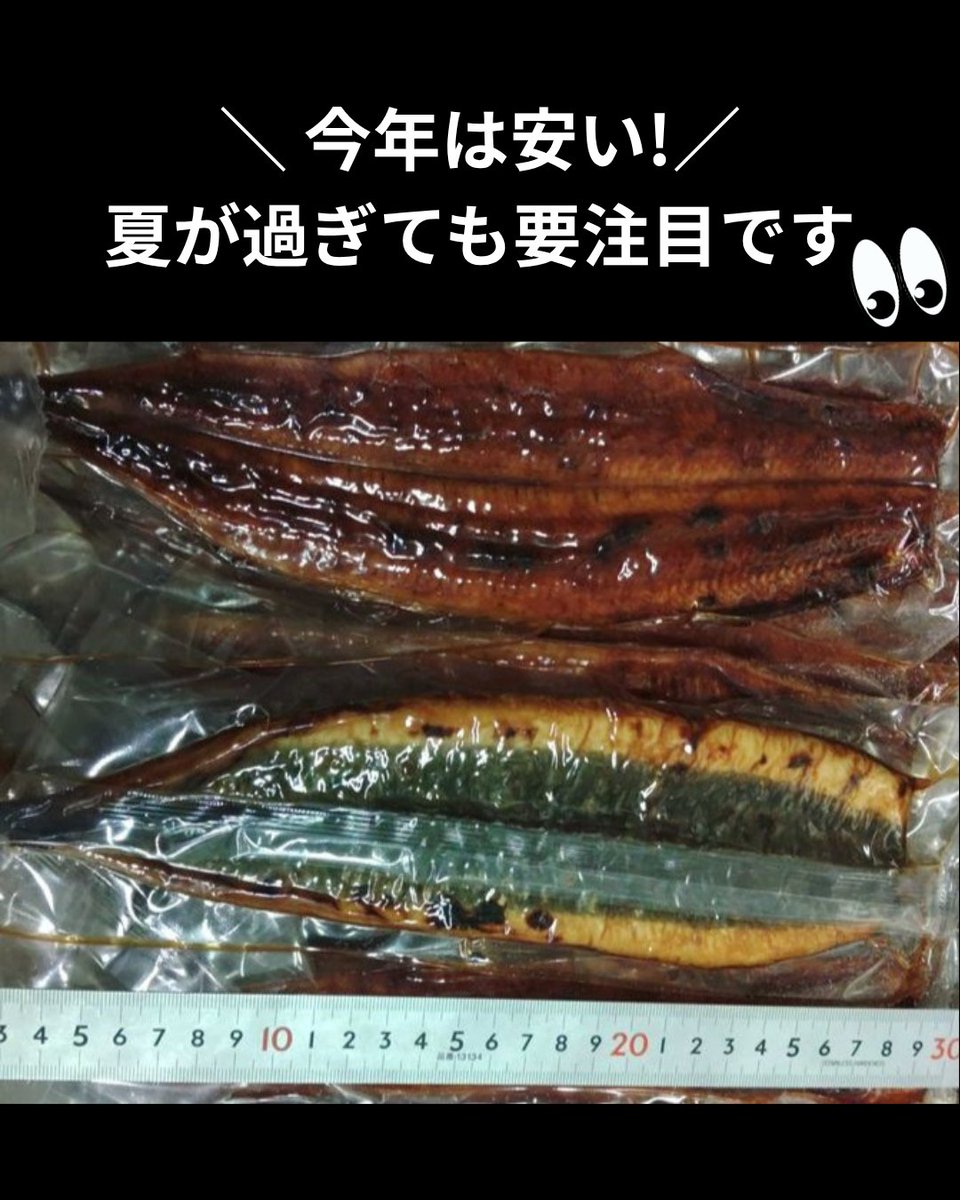 uopochi's tweet photo. 魚ポチ 今日の市況チェック🧐
10/2 ウナギ
今季はウナギが安い💡
需要期は過ぎましたが、根強い人気があります。
秋口にかけてもご要望が多い注目食材です👉
秋メニューにも、ウナギをぜひご活用ください✨

詳しくは下のリンク先をCHECK！🔍
https://t.co/ORKMwB4Jdv
質問などはDMへ →
※飲食店様限定です

#ウナギ #仕入れ #魚ポチ