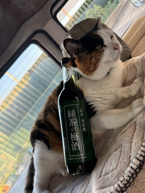 sakegets tweet picture