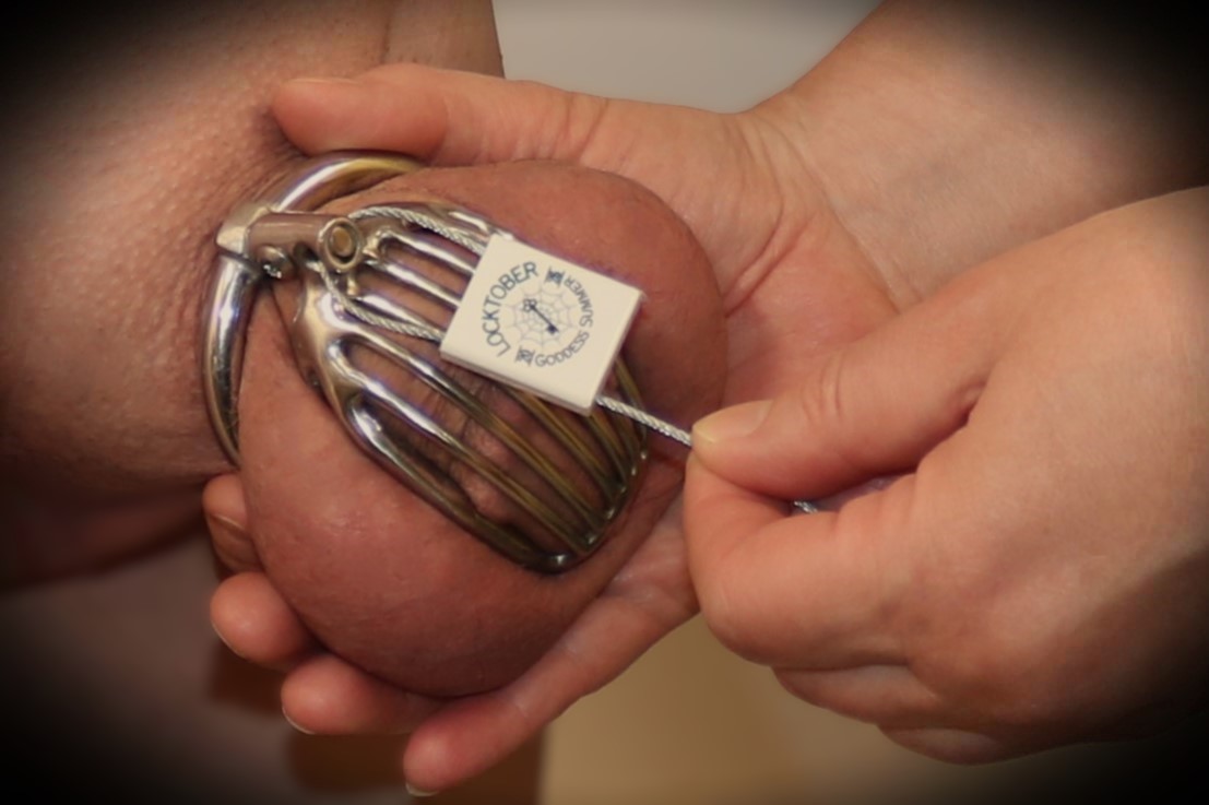 KSB315's tweet photo. Current situation: #Loctober day one... Thank you to @Goddess_Summer_ for Loctober fun and My Loving Wife to make sure everything is locked up tight. We love the Red Chili Fish cage!
#chastity #MaleChastity #Forcedfem #cuck #sissy #SissyHusband #FLR #Locktober @RedChiliDevices https://t.co/ga5raaXL4c