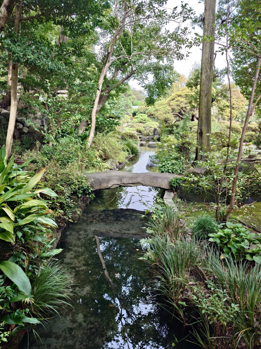 rena_chu's tweet photo. 帝釈天の中にある庭園が凄く好みでぇ…回遊式で見やすかった！撮影禁止の彫刻も立体感感じる木彫りで見入っちゃった
何気に帝釈天初めてだった！ https://t.co/cpsEWQ3sU3
