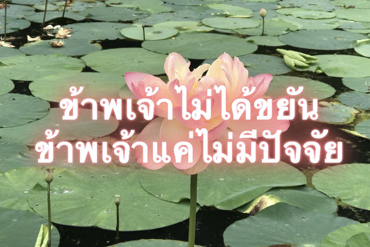 Iaunza's tweet photo. ใครจะอยากทรงงานทุกวัน https://t.co/Uqv5QAl0di