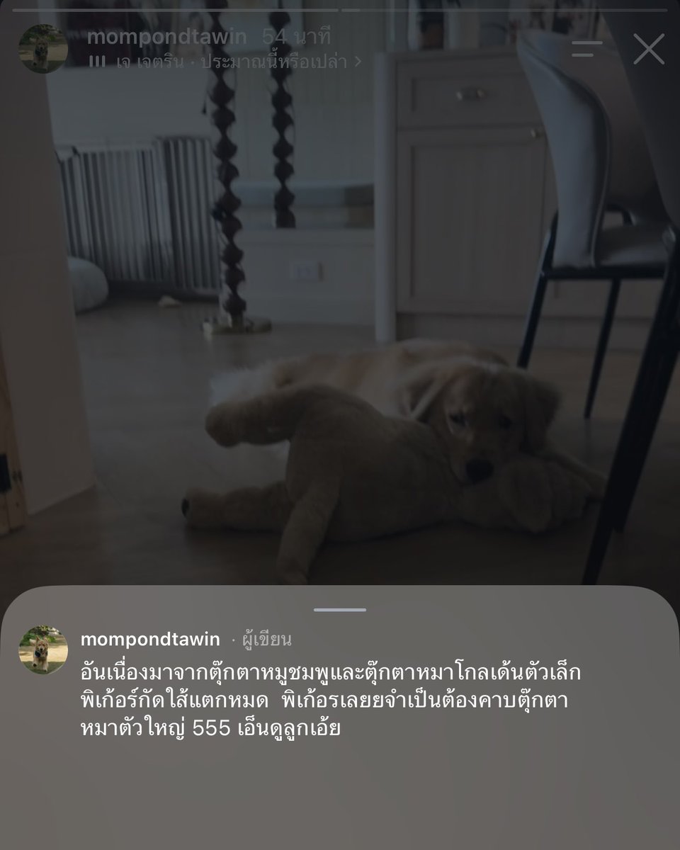 twixtpp's tweet photo. คุณแม่บอกว่าเพราะตุ๊กตาหมูเพื่อนรักกับตุ๊กตาหมาเพื่อนรัก(ตัวเล็ก) โดนกัดไส้แตกหมดเก้อเลยต้องคาบตัวใหญ่แทน

ไม่ทราบว่าเจ้าหมาตัวใหญ่นี้ ใช่ที่ตัวที่พี่ภูวินคีบได้รึเปล่าน้า

#parkerlert #ppnaravit https://t.co/lG0bmKrgtZ
