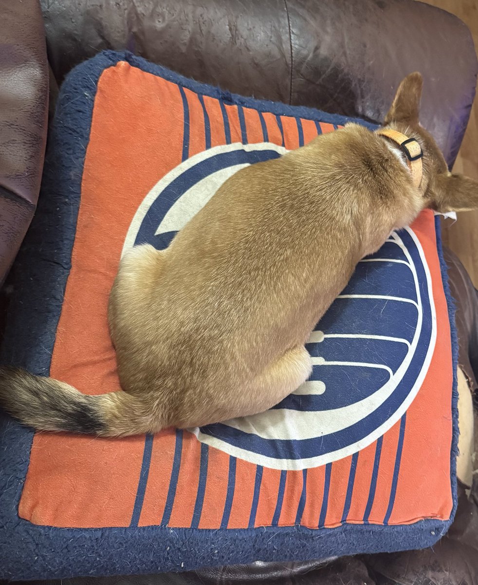 Shanny19's tweet photo. @THESAR1999 Currently resting for the next one https://t.co/SSQbzbpHYn