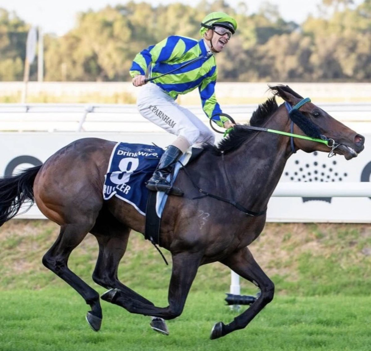 dklracing's tweet photo. Always get excited when Bustler 🟦🟩 rolls out for a prep. Been a while between drinks. Has been the best ride. #firstupfresh #Goldensaddle  🍻👍 https://t.co/0mq0Qk5hWt