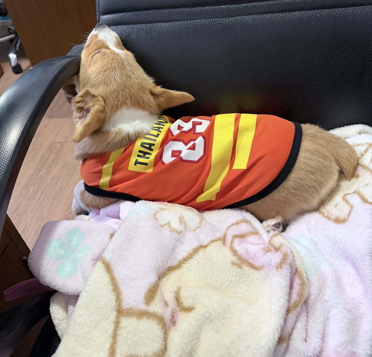 el_ikmm's tweet photo. งอนนนน แม่ไม่ให้นอนตัก https://t.co/g8lx2QT11w