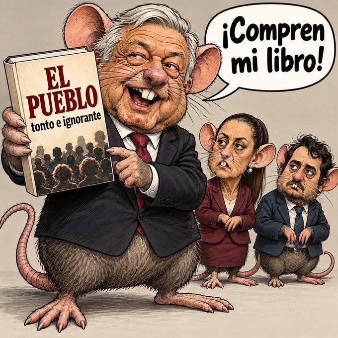 PinaNavarro2's tweet photo. @8Macumba Eso y más es esta rata asquerosa ! https://t.co/tCBBdCDYLU