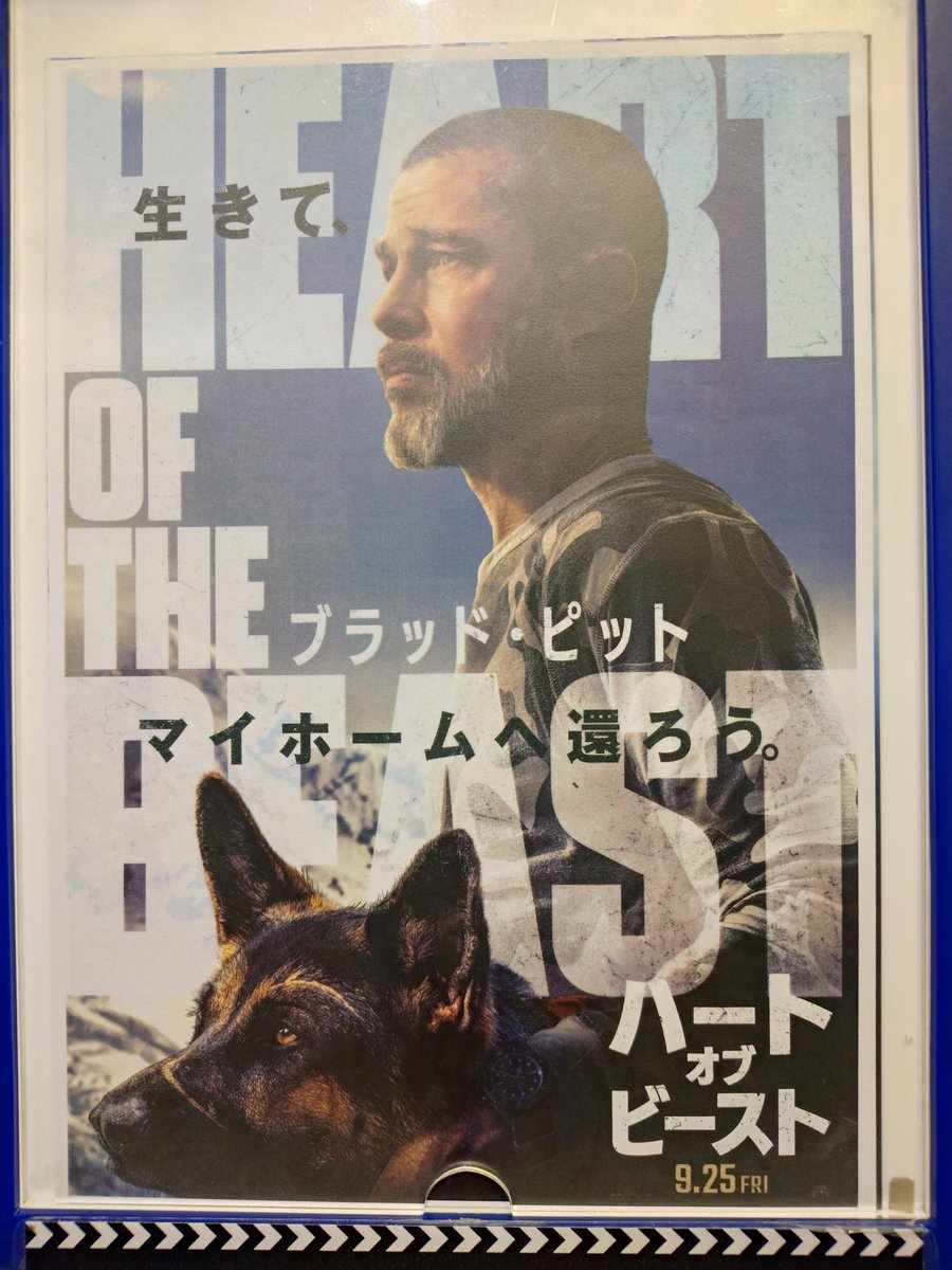teppey0321's tweet photo. 「#ハートオブビースト」
観ました。湖のほとりで犬ちゃんと一緒にコーヒー飲んで釣りしてアウトドアって最高だな、自分も始めようかなって思ったら、遭難したら熊出るわ野犬は襲ってくるわ最悪ですね。山には絶対行かないと誓った。映画自体は静かな余韻に浸る良い映画でした。 https://t.co/2OHnGodOxY