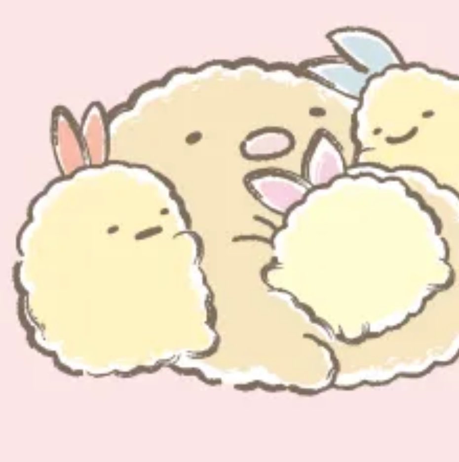 tonkatu_sumi_ko's tweet photo. とんち���んの上横死守してたえびちゃんが、えびてんちゃんに特等席取られてこの表情😑 https://t.co/zJ2kDEIeuX