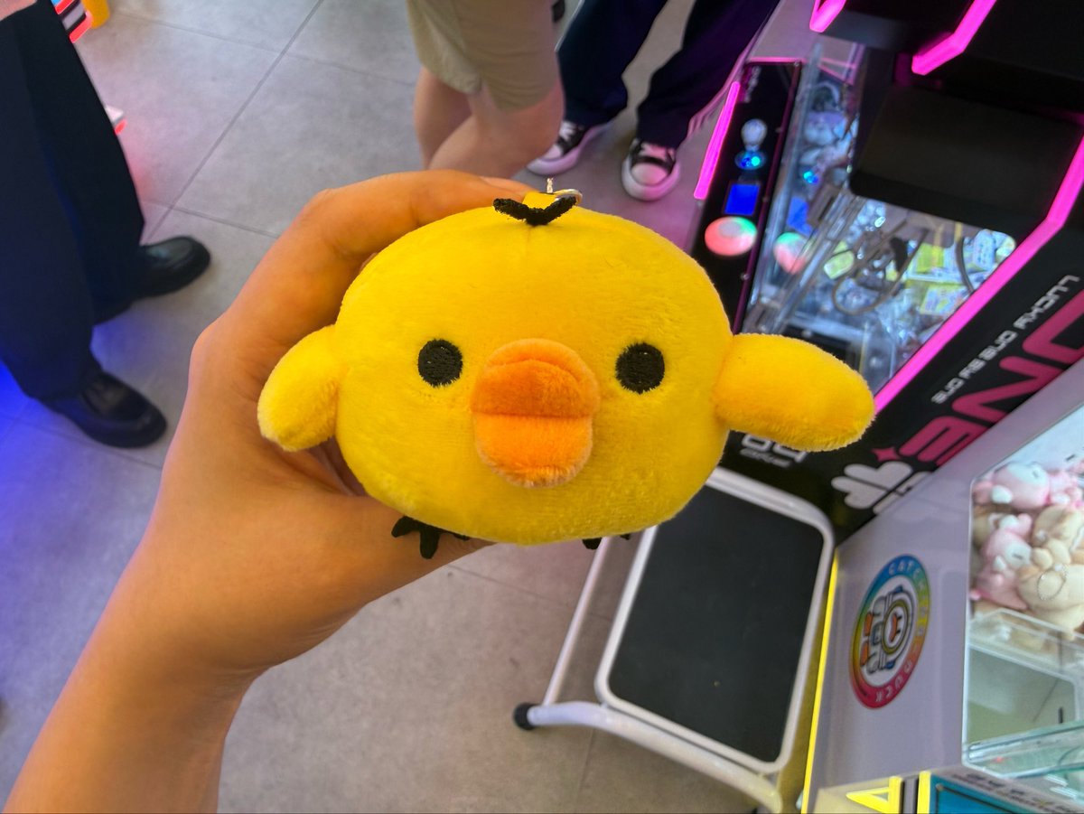 gkqppp's tweet photo. 납짝 돼병이 https://t.co/Erhz5ul57U