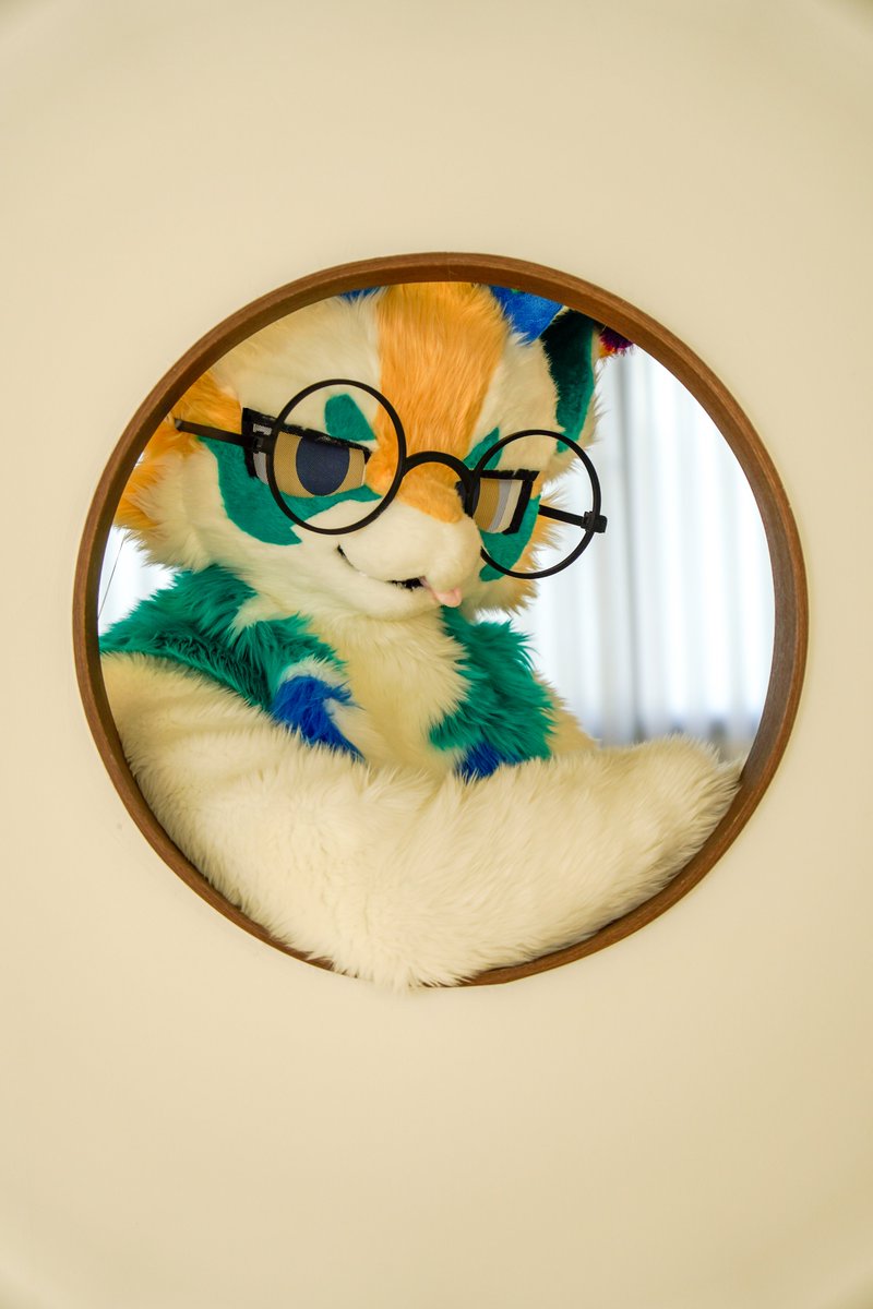 polang_lang's tweet photo. 뽀뽀해주까?!

#FursuitFriday #Fursuit #폴랑폴랑 https://t.co/5uU2jAplqi