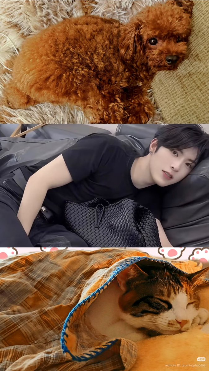 miss_nnja's tweet photo. No DNA test needed 😭😂🧡 https://t.co/pzp7c7bpT8