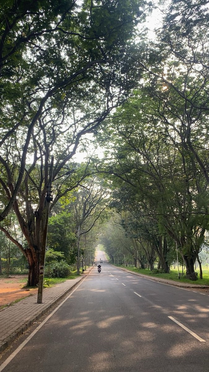 maanyaaa15's tweet photo. went for a morning walk:) 
character development or something. https://t.co/xPWA3JCMcs