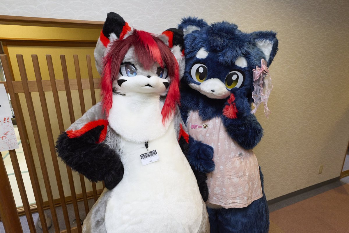 regret6766's tweet photo. たくさんツーショットしてもらえたぞっ🐾
(📸:@sakura_craw @sakiL3L3 )
#はむがっしゅく2
#FursuitFriday https://t.co/X63EAqXKj5