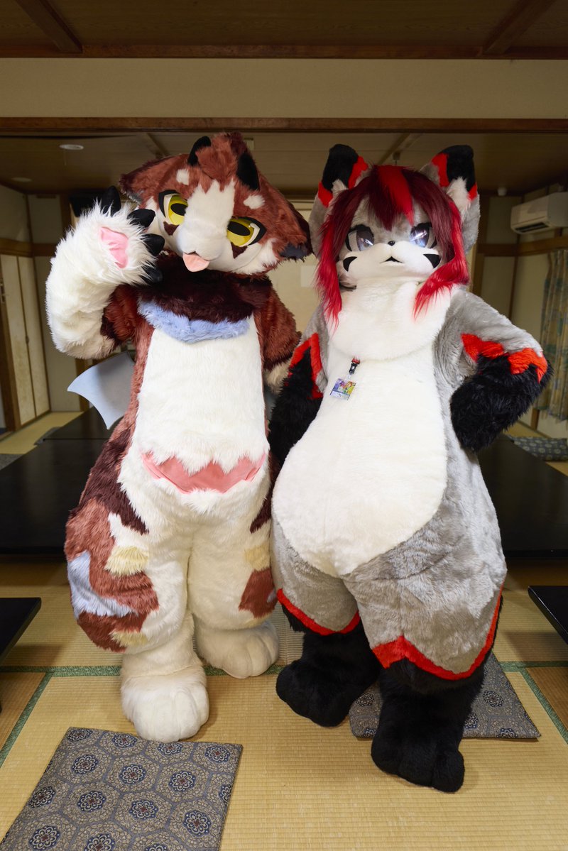 regret6766's tweet photo. たくさんツーショットしてもらえたぞっ🐾
(📸:@sakura_craw @sakiL3L3 )
#はむがっしゅく2
#FursuitFriday https://t.co/X63EAqXKj5