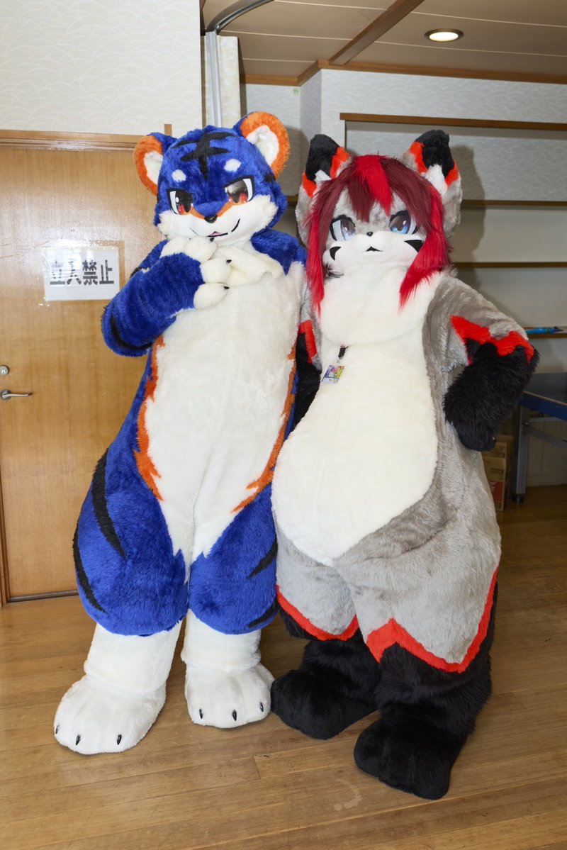 regret6766's tweet photo. たくさんツーショットしてもらえたぞっ🐾
(📸:@sakura_craw @sakiL3L3 )
#はむがっしゅく2
#FursuitFriday https://t.co/X63EAqXKj5