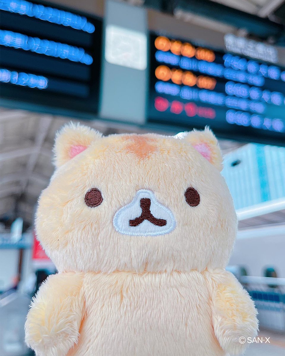 sanx_global's tweet photo. Meow-hello, it’s Coronya! 🐾
#sanx #sanxoriginal #corocorocoronya #airports #catsworld https://t.co/mkG0TBpy6q